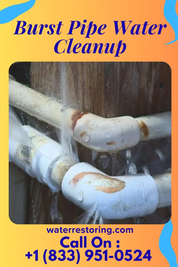 Burst Pipe Water Cleanup in Penns Grove, NJ