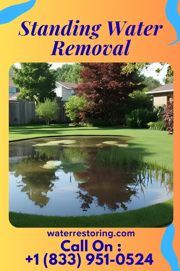 Standing Water Removal in Penns Grove, NJ